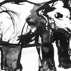 White elephant watercolor