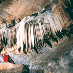 More flowstone in Crystal Sequoia Cave