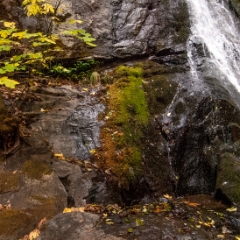 Waterfall near Crystal Sequoia