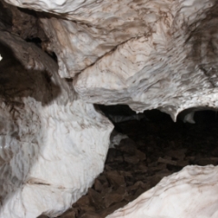 Mineral King cave