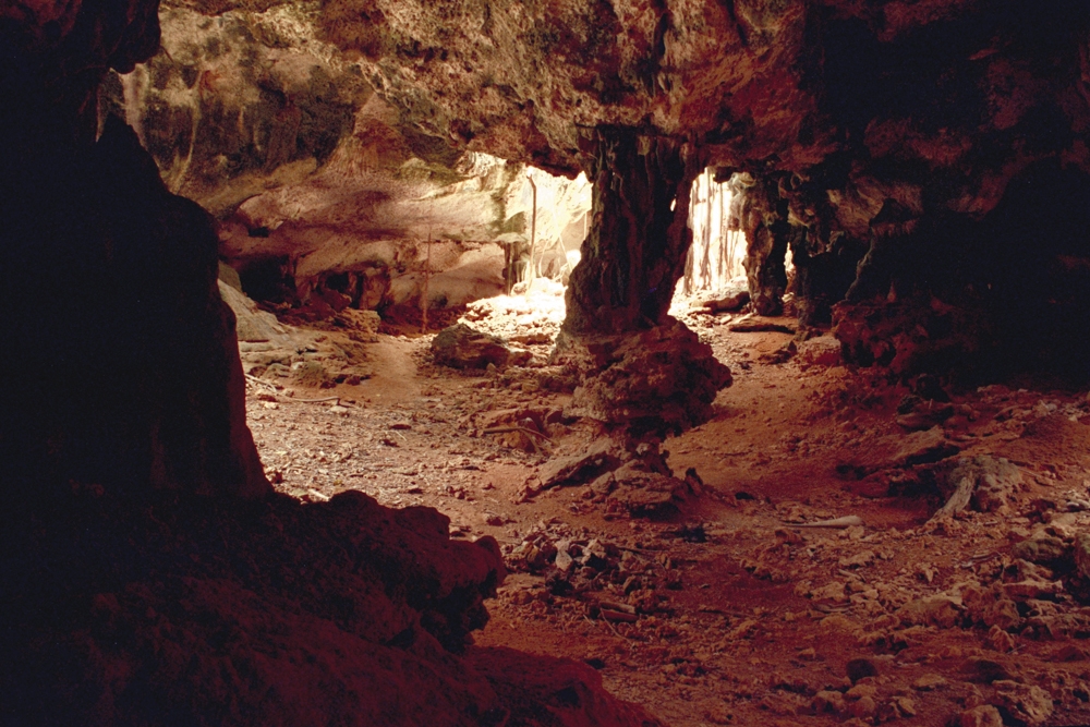 Mona Island Caves, Puerto Rico photograph. 