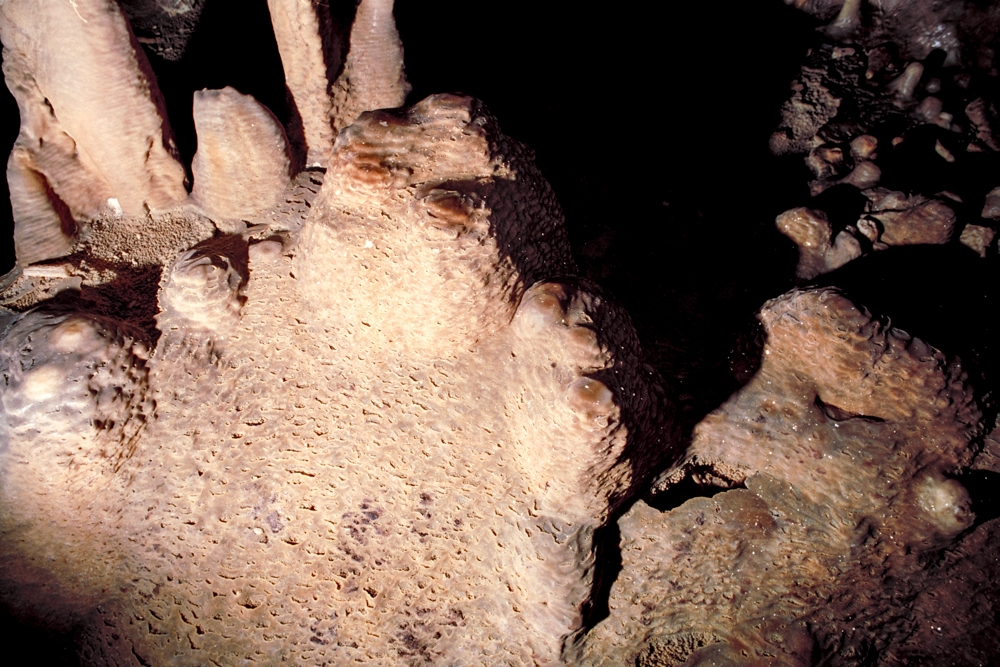 Mona Island Caves, Puerto Rico photograph. Stalagmites from from the ground up, while stalactites form from the ceiling. When they meet they form a column. There is some amount of rimstone formation here also.