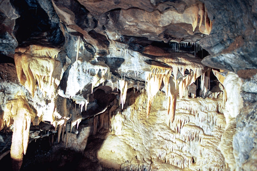 Soldiers Cave photograph. Stalactites grow from the ceiling; stalagmites grow from the floor. Sometimes a stalactite will fall from the ceiling, land on the floor, and turn into a stalagmite over time!