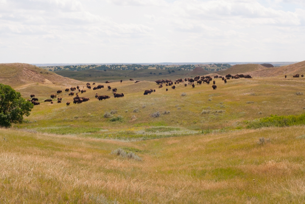 Badlands National Park, South Dakota photograph. 