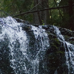Waterfall in Big Basin
