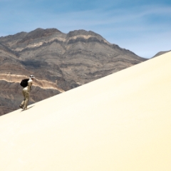 Death Valley large sand dunes