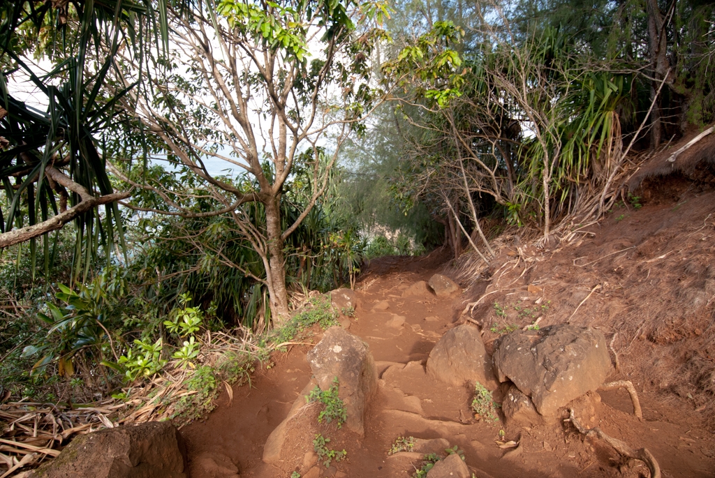 Kauai, Hawaii photograph. This was a very difficult hike, full of roots and knobby bits.