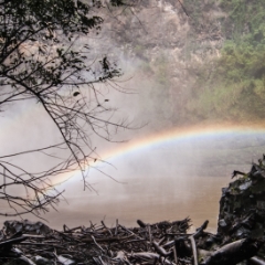 Rainbow at the base of Wailua Waterfall