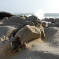 Rock and sand detail