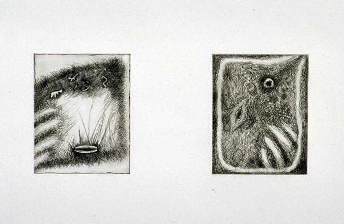 Drawings, Etchings, Collage photograph. An etching I did in college.