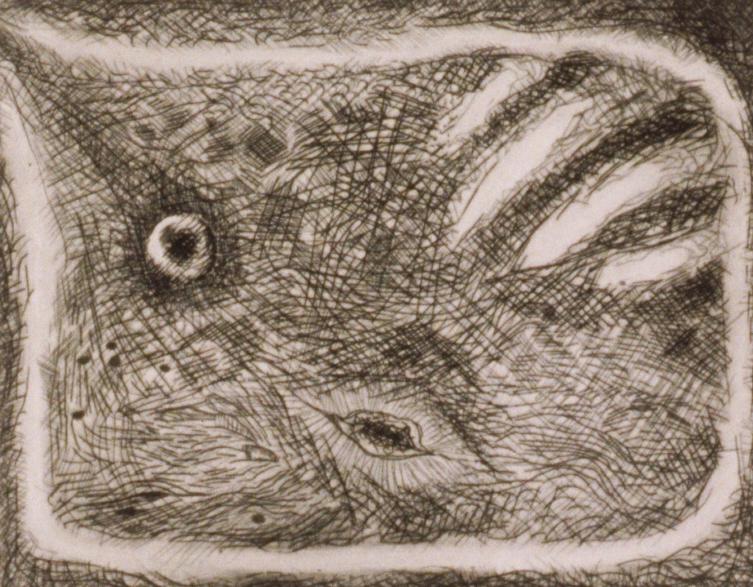 Drawings, etchings, collage photograph. 