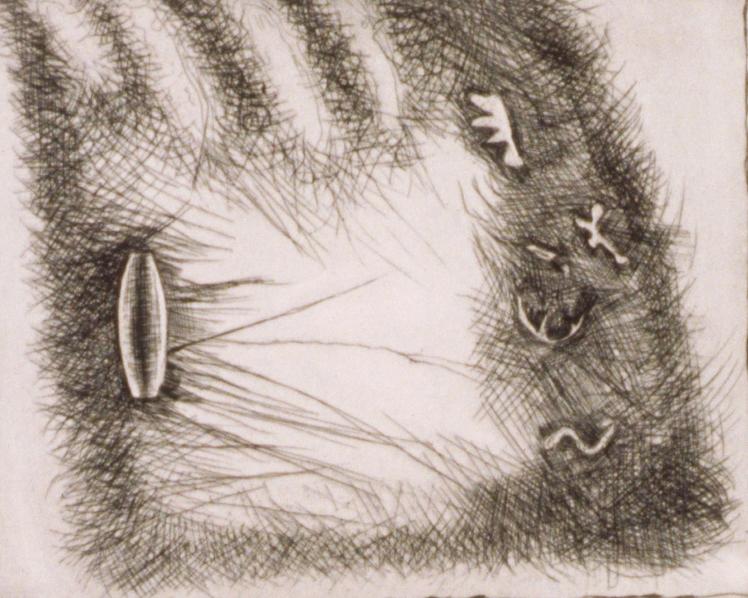 Drawings, etchings, collage photograph. 