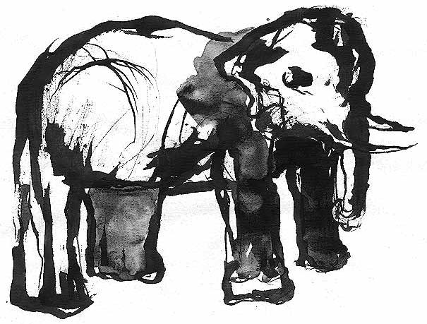 Watercolors and ink photograph. 