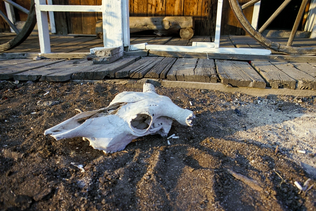Burning Man 1996 photograph. 