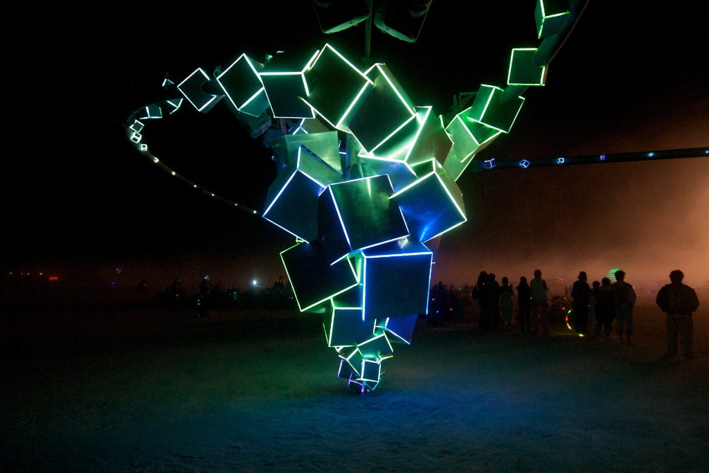 Burning Man 2010 photograph. 