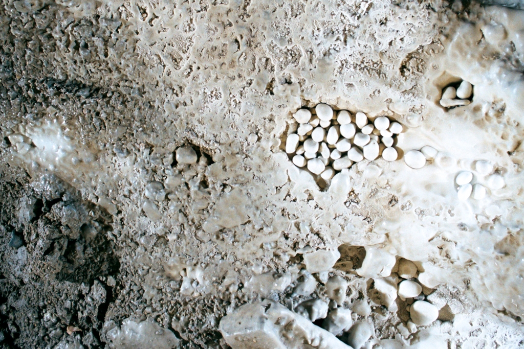 Crystal Sequoia, California photograph. 