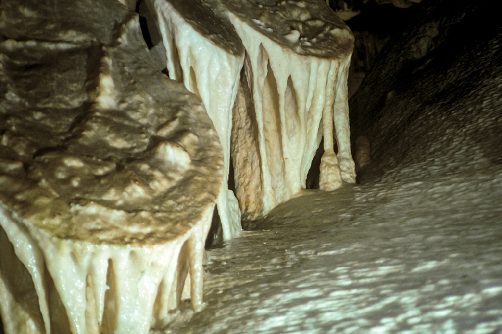 Crystal Sequoia, California photograph. <a href='http://www.goodearthgraphics.com/virtcave/shield/shield.html'>Cave shields</a> are semicircular plates of calcite located beneath joints in a cavern ceiling formed when hydrostatic water seeps along the joint. See <a href='http://www.speleogenesis.info/directory/glossary/'>the glossary of karst and cave terms</a> for more definitions.