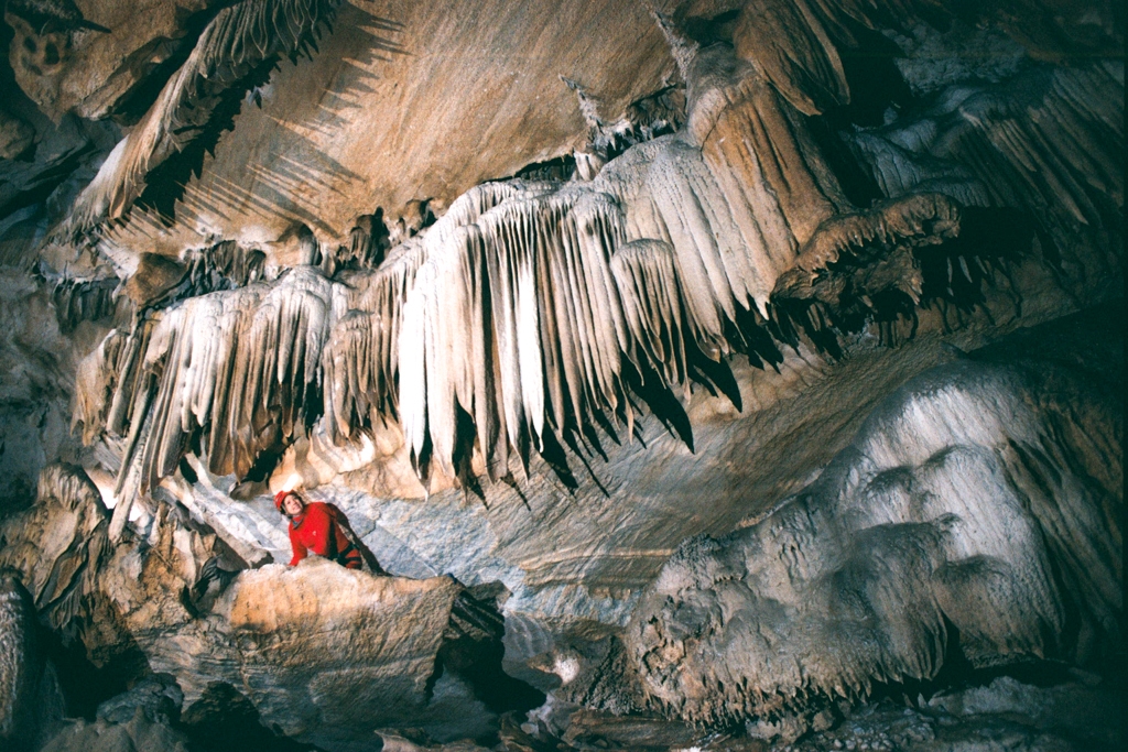 Crystal Sequoia, California photograph. 