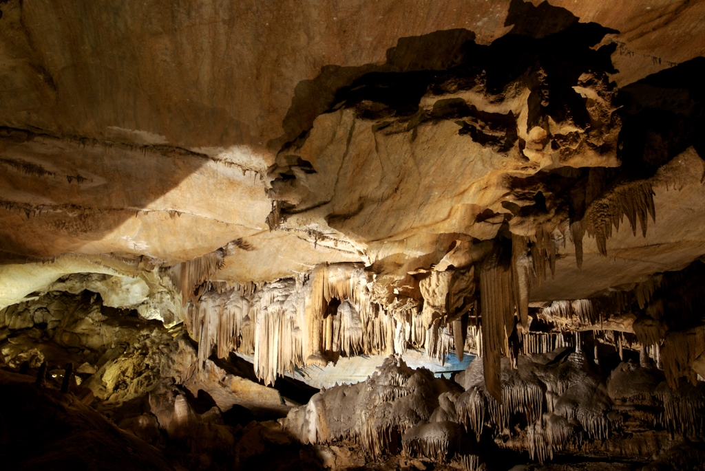 Crystal Sequoia, California photograph. 