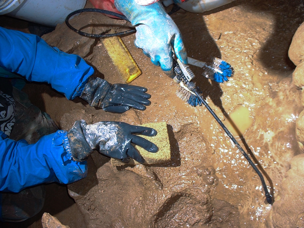 Crystal Sequoia, California photograph. This is what happens when a tourist cave gets overused by the general public and the lights have been kept on too long, encouraging growth of fungus and other biology that doesn't belong in a cave. Dedicated cavers come in to repair the damage! Back to natural muddy state.