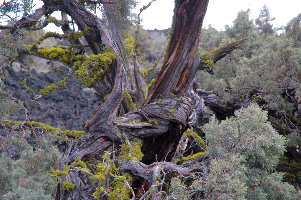 Lava Beds, California photograph. 