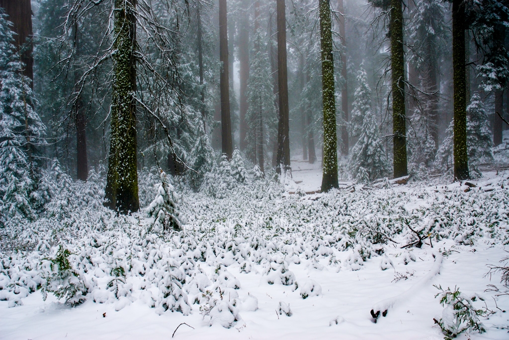Lilburn Cave and Snow in King's Canyon photograph. The hike to the cave is five miles from the parking lot, and if I recall there were two extra miles if you couldn't get to the parking lot in the winter. It's a haul in the snow!