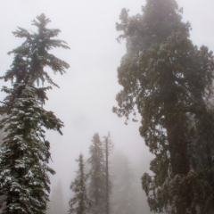 Lilburn Cave and Snow in King's Canyon