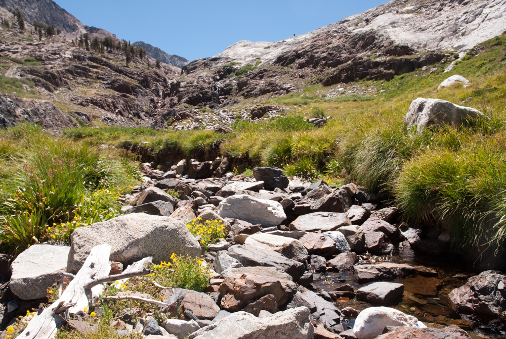Mineral King, California photograph. The stream, where we had lunch. Yellow wildflowers and lush summer grass. The stream was low.