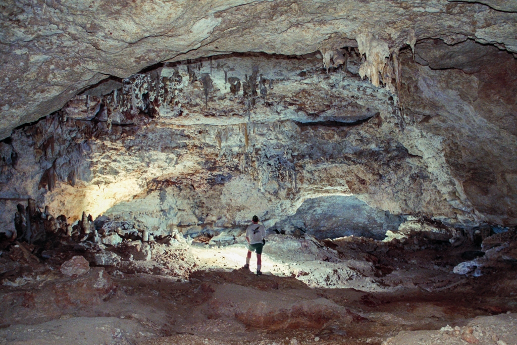 Mona Island Caves, Puerto Rico photograph. 