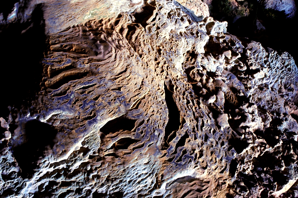 Mona Island Caves, Puerto Rico photograph. 