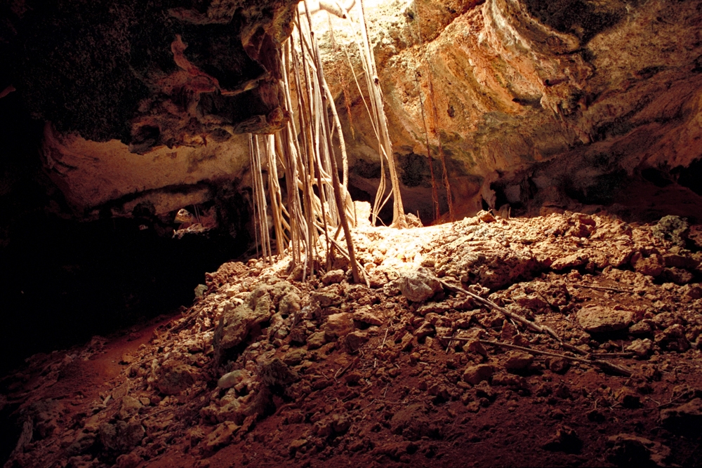 Mona Island Caves, Puerto Rico photograph. 