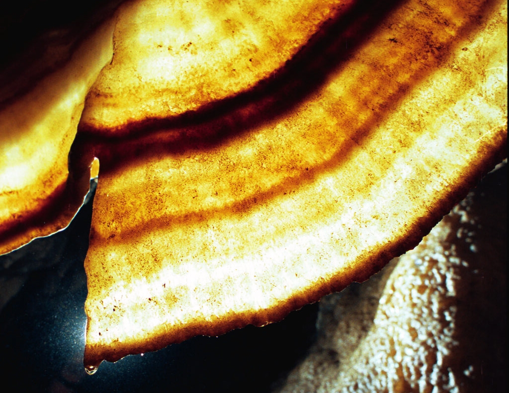 Soldiers Cave photograph. Cave bacon is a thin sheet of rock formed by the continual deposit of minerals as water dribbles across the bottom over thousands of years. The end result is stripy and beautiful, and translucent if you happen to have a light source in the cave with you.