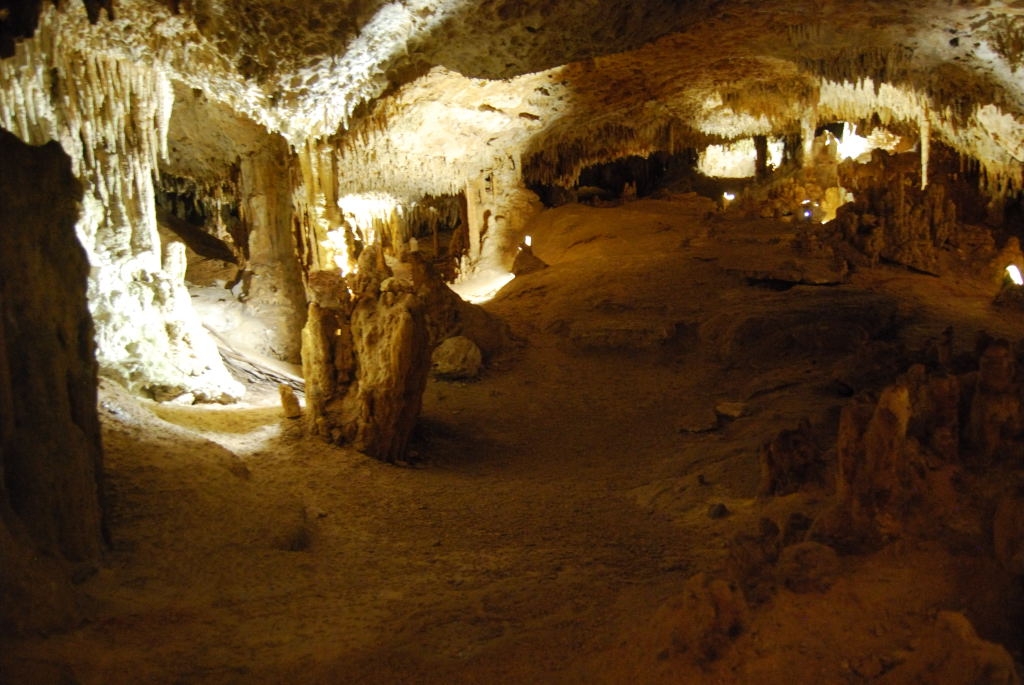 Mexico Caves & Cenotes photograph. Formations in the cenote at Cenote Aktun Chen near Akumel, Mexico on the Yucatan Peninsula. Photo by Peter Hamel.