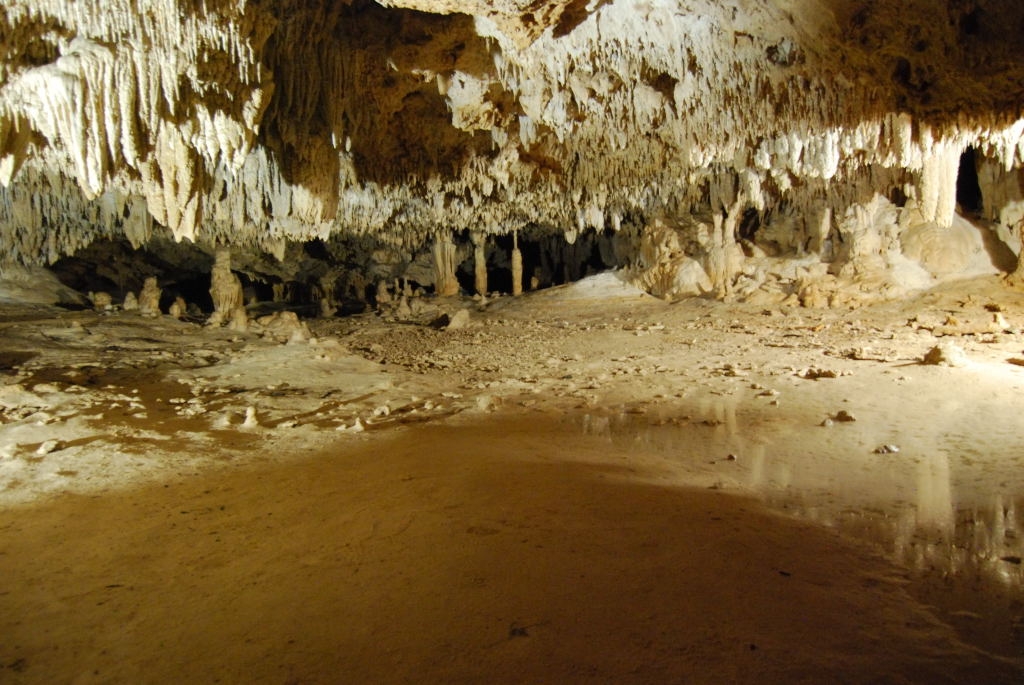 Mexico Caves & Cenotes photograph. Formations in the Cenote Aktun Chen near Akumel, Mexico on the Yucatan Peninsula. Photo by Peter Hamel.