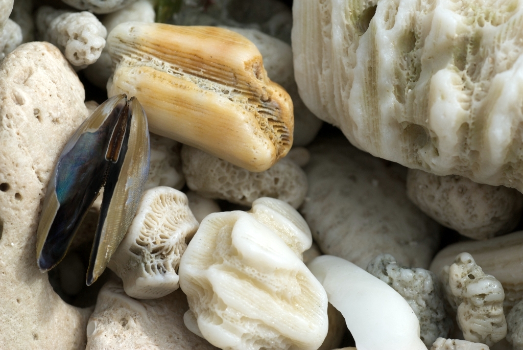 Mexico Caves & Cenotes photograph. Beach at Akumel. Akumel is about an hour south of Cancun. There is a very large reef all along the coastline. We tried to go snorkelling here but the ocean was too choppy for snorkelling or diving, so we went to the local lagoon (Yalku Lagoon).