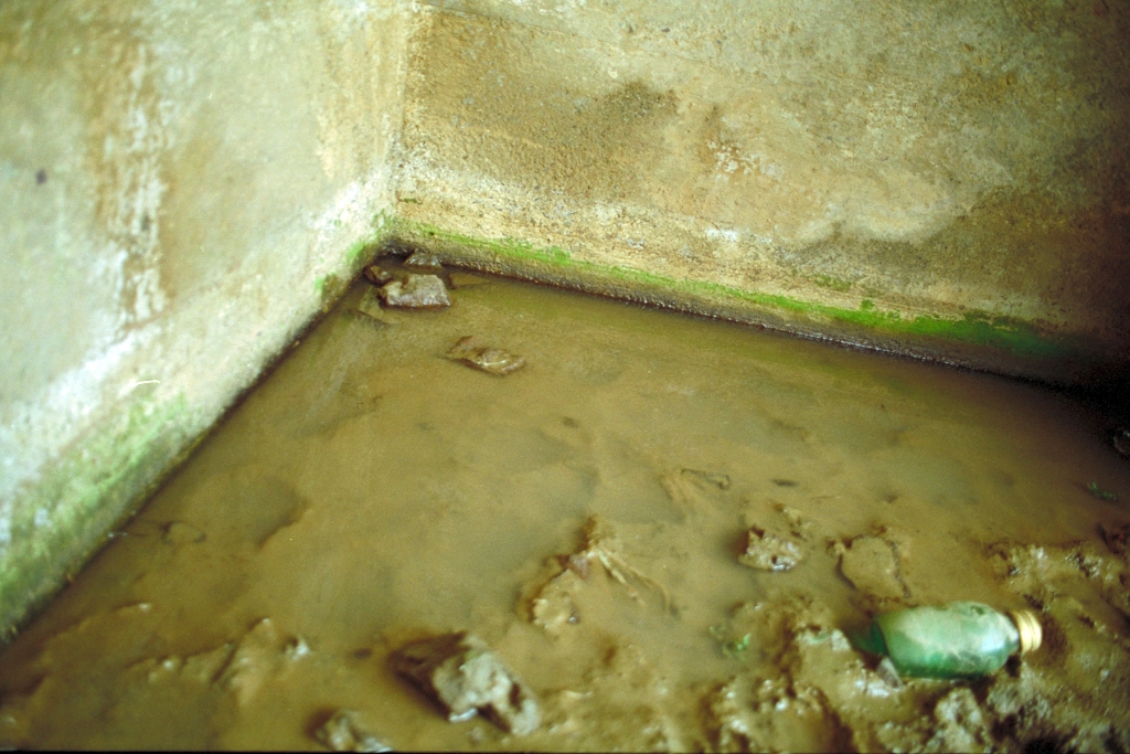 Colorful things photograph. Green bottle in the lower right quadrant.