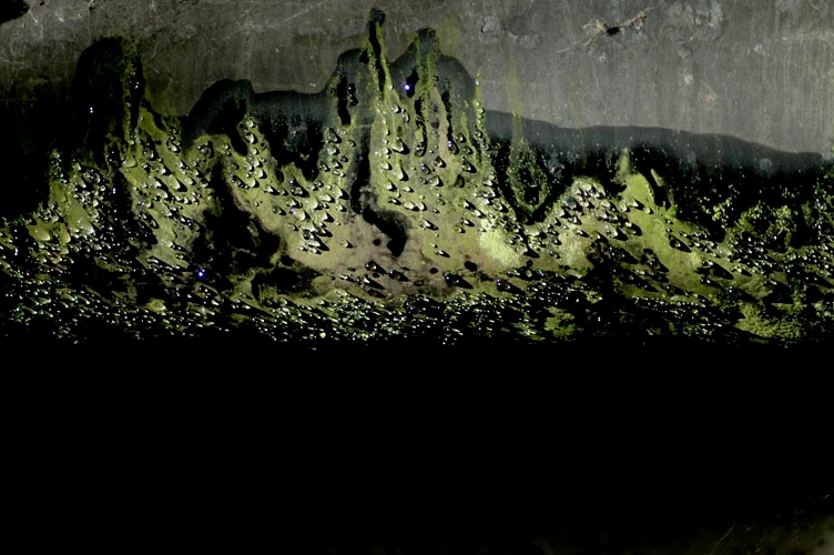 Colorful things photograph. 