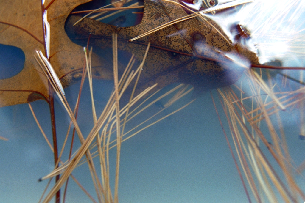 Colorful things photograph. 