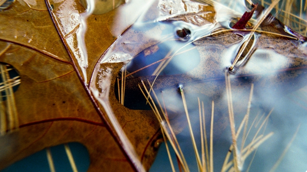 Colorful things photograph. I like how blue and hazy the water is. Reminds me of fall in New England.