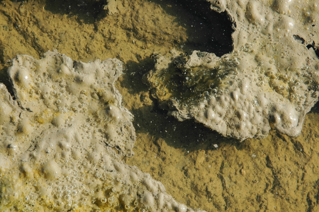 Colorful things photograph. Mountain View Shoreline, California