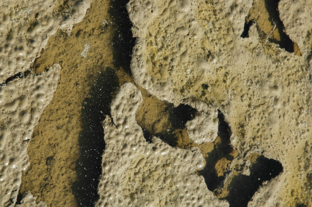 Colorful things photograph. Mountain View Shoreline, California.