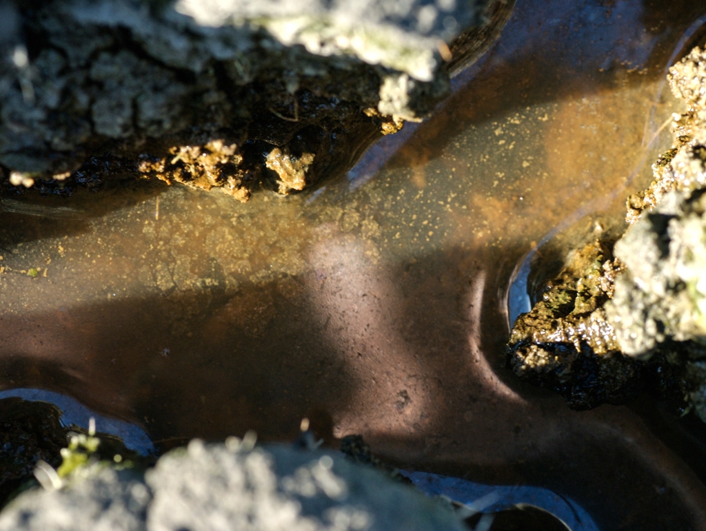 Colorful things photograph. <a href='/photos/travel/mountainview/'>Mountain View Shoreline</a>, California.