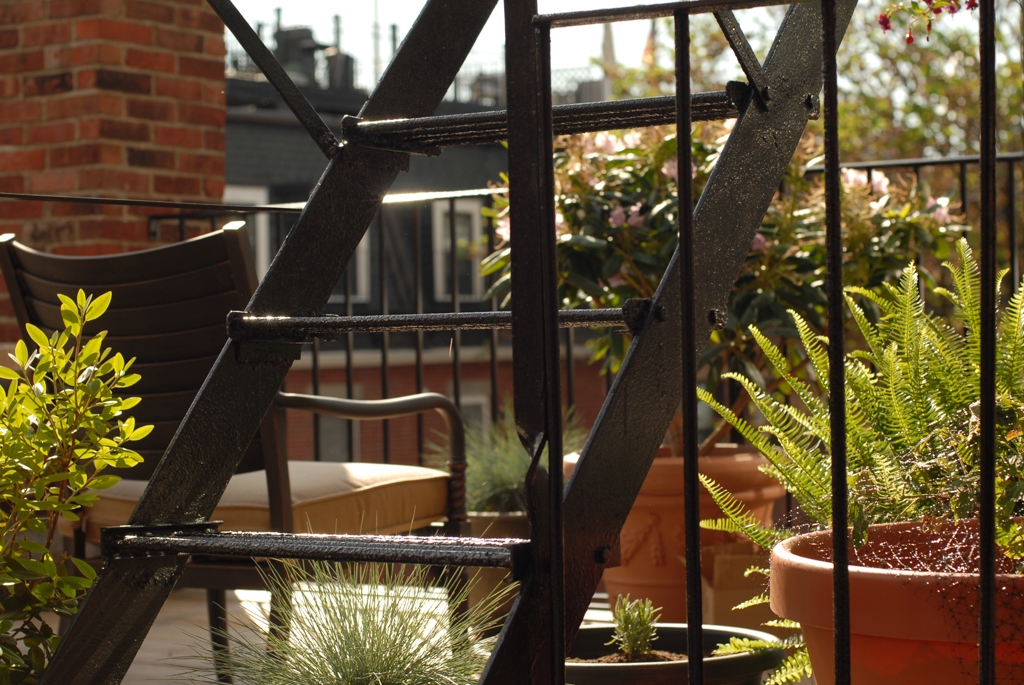 Flowers and plants photograph. This was the view from my desk on the other side of the door.