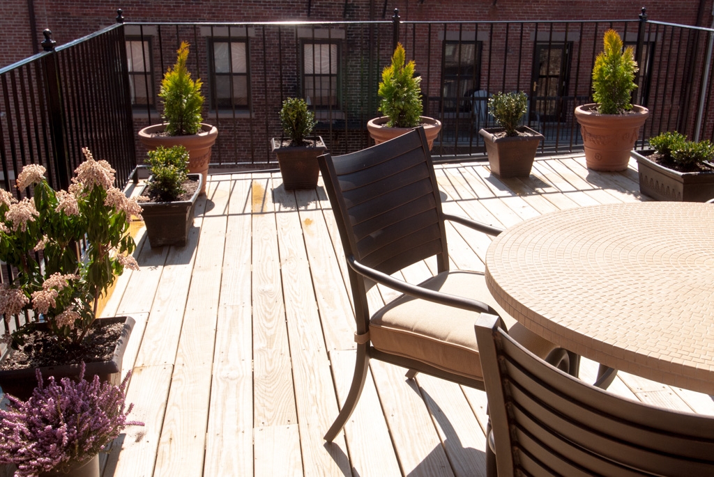Flowers and plants photograph. This is the full view of the deck. I spent a lot of time out here.