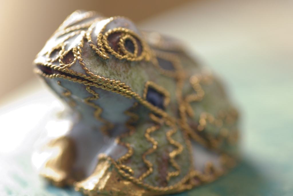 Macro shots photograph. 