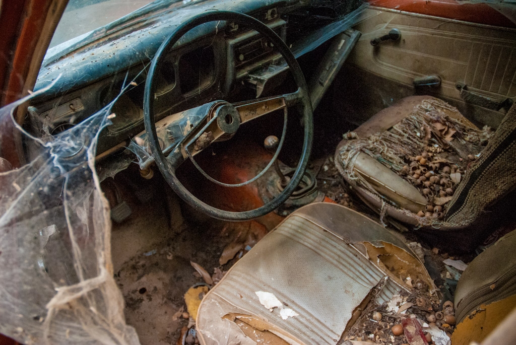 Rusty and abandoned photograph. We found some abandoned cars in the woods of Anderson Valley that were rusty and full of cobwebs.