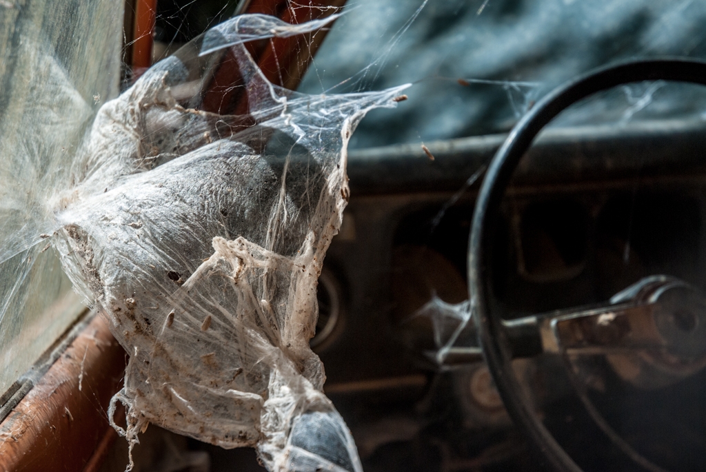 Rusty and abandoned photograph. I like the way the light dapples through the filmy spiderweb. This was an abandoned car in Anderson Valley, a few hours from San Francisco to the northeast.