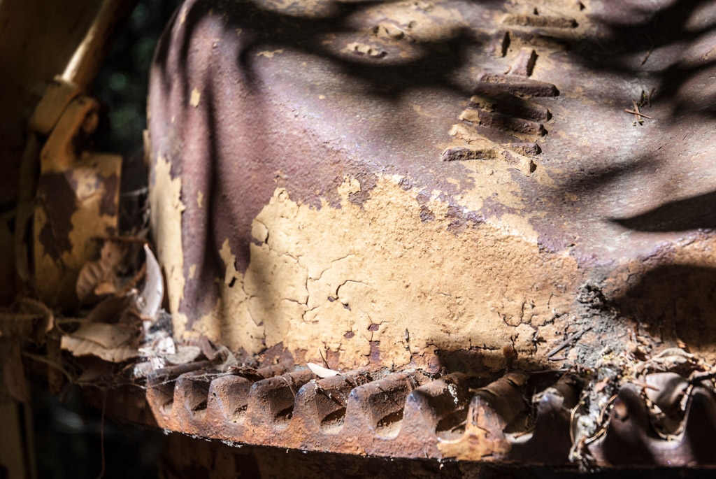 Rusty and abandoned photograph. Found in Anderson Valley. Rusty with flakes of yellow paint.