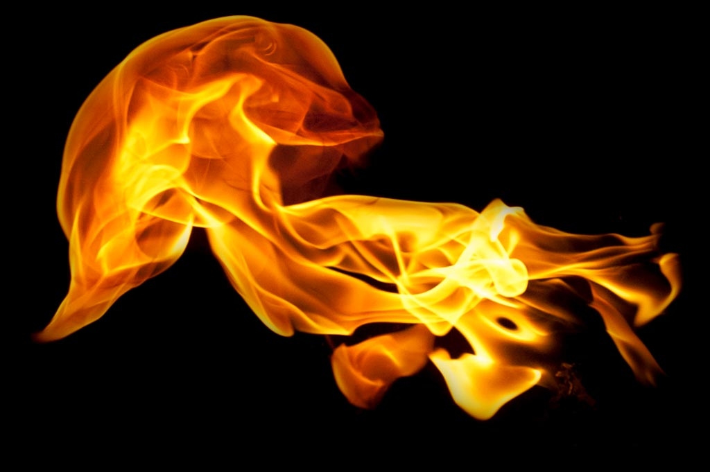 Fire and flames on a black background photograph. 