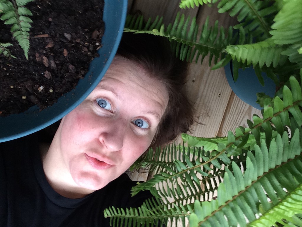 Pictures of Kristen photograph. 